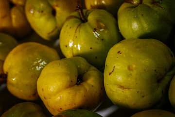 A close-up of several quince fruits in various stages of ripeness, revealing shiny green and yellow surfaces in natural light.
