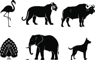 Animal silhouette set, bird and wild mammal vector icons, flamingo, tiger, buffalo, peacock, elephant, dog, black design