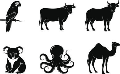 Animal silhouette set, bird, marine, and land mammal vector icons, parrot, cow, buffalo, koala, octopus, camel, black design