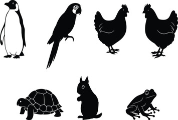 Animal silhouette set, bird, reptile, amphibian, and mammal vector icons, penguin, parrot, chicken, tortoise, squirrel, frog, black design