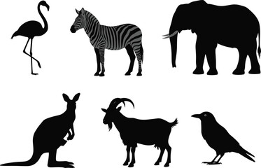 Animal silhouette set, bird, wild, and farm vector icons, flamingo, zebra, elephant, kangaroo, goat, crow, black design