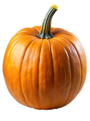 Obraz premium Single orange pumpkin with green stem isolated detailed photorealistic food harvest autumn fall season harvest vegetable
