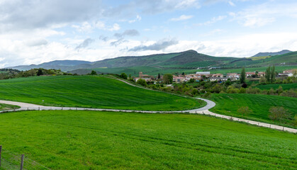 Meadow with fresh grass. Navarra, Spain