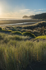 ニュージーランド　オークランド近郊のピハ・ビーチ