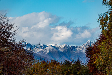 Beautiful orange and red autumn forest and snowy mountains
