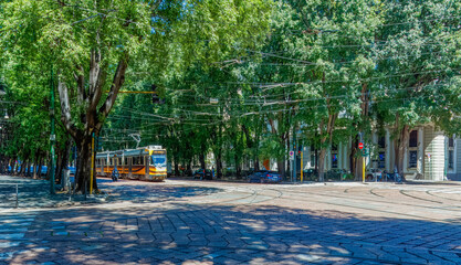 Milan tram with tramlines and trees