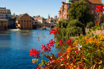 Bright flowers bloom above the river, shining under the blue sky of Strasbourg. The colorful houses and bridges rest quietly beyond the water. Every detail shines in the soft warmth of a gentle day.