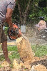 Obraz premium A worker powerfully operates a chainsaw to slice through a large tree trunk, with sawdust flying, highlighting intense manual labor and forestry.