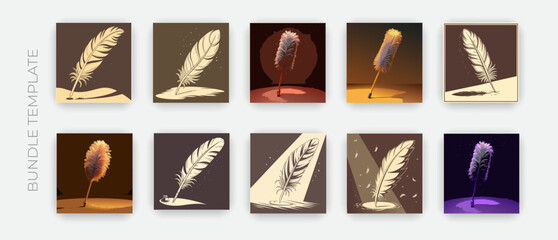 vector feather decorative illustration
