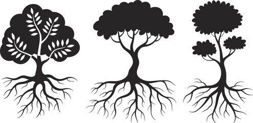 Black and white silhouette illustration of three different tree designs with roots, natural growth concept,