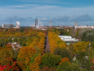 Fototapety na wymiar - Fototapeta24.pl