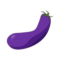 Vector Eggplant template design isolated transparent. Perfect vector purple Eggplant with green tail for eco food farm sale poster cover design. Editable stroke EPS 10