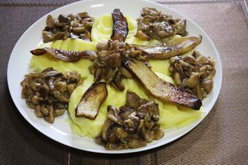 Mashed potatoes with fried mushrooms on plate