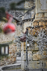fontaine, place du village autoire lot