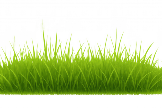 Green spring grass line or border frame with fresh green vibrant blades, showing growth on transparent background for seasons