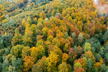 Dolina Popradu, jesień , Muszyna.