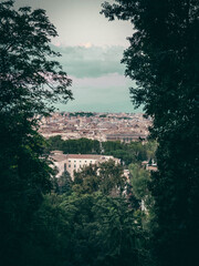 Panoramic View of Rome Framed by Trees under Soft Sunset Light