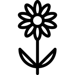 Daisy Flower Icon