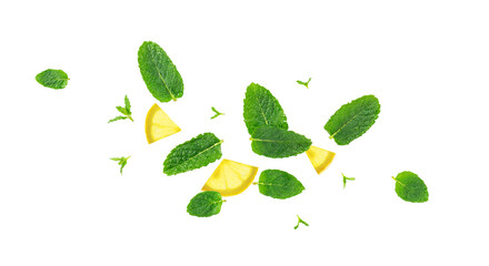 Falling Mint Leaf Set Isolated, Flying Fresh Menthol Leaves, Green Spearmint © ange1011