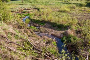 Winding stream flows through overgrown banks, surrounded by dry grass, green foliage, and fallen branches under sunlight