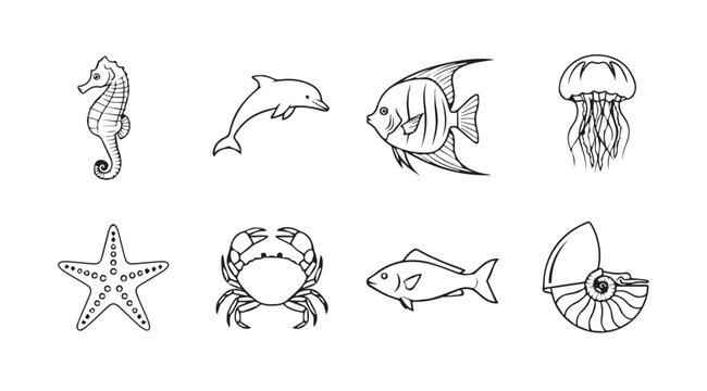 Collection of hand drawn sketch style sea creatures dolphin seahorse fish jellyfish crab starfish nautilus vector