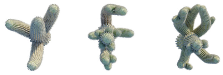 Carnegiea gigantea tree plan, top view, cutout, transparent background, isolate, Unique cactus plants in vibrant detail with textured spines and natural beauty © DH Tree Stock