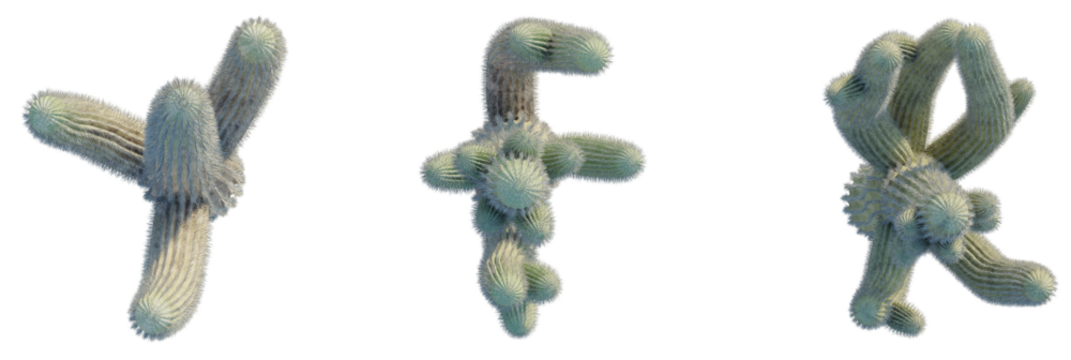 Carnegiea gigantea tree plan, top view, cutout, transparent background, isolate, Unique cactus plants in vibrant detail with textured spines and natural beauty