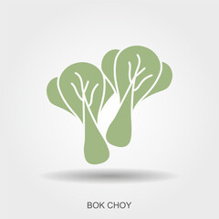 Flat vector illustration of bok choy vegetable. Simple green leafy cabbage icon for food design, healthy eating, restaurant menu, or Asian cuisine concepts.