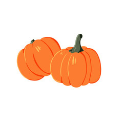 Orange Pumpkin Illustration