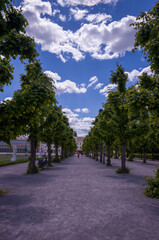 Tree-lined walkway under bright summer sky in city garden