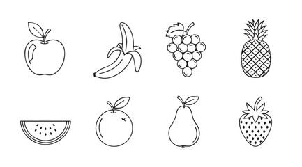 Collection of hand drawn fruit icons representing healthy food and nutrition choices vector