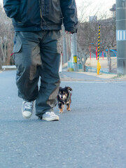 飼い主の足元とチワックス
