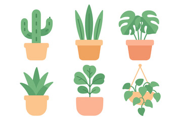 Collection of six popular indoor potted plants in various terracotta containers and hanging baskets