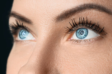 Obraz premium Beautiful female blue eyes with long eyelashes on black background, closeup