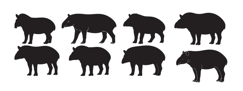 tapir silhouette on white background