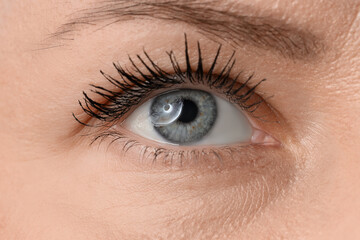 Obraz premium Young woman with beautiful eyelashes and blue eyes, closeup