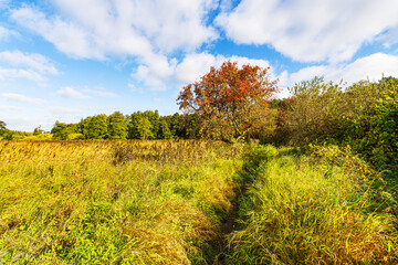 Landschaft im Herbst im Warnowdurchbruchstal bei Groß Görnow