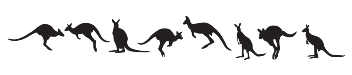 wallaby silhouette on white background