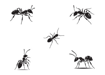 ant logo vector silhouette illustration, vector illustration of ant logo icon design, vector of a black silhouette ant, black ant silhouette isolated on white background.