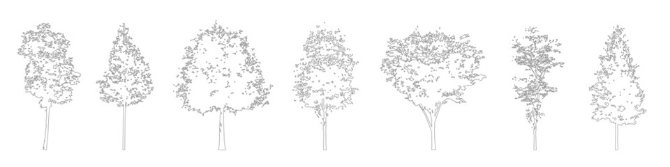 Fototapeta premium Minimal CAD tree drawings, side view outline trees for architectural and landscape plans