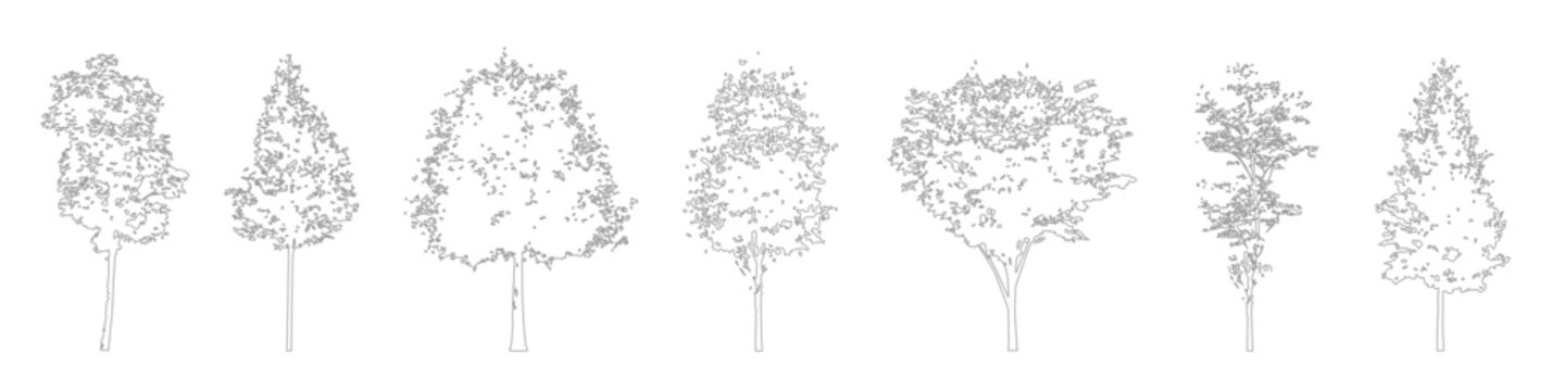 Minimal CAD tree drawings, side view outline trees for architectural and landscape plans
