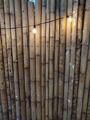 bamboo forest background