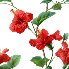 Fototapeta premium Seamless Scientific Botanical Watercolor Illustration of Hibiscus, Red Petals with Yellow Stamen, Vintage Hand Painted Floral Plate