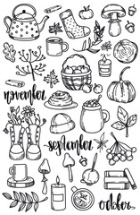 set of different autumn objects