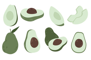 vector illustration of an avocado
