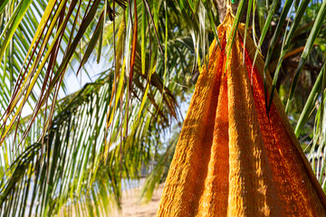 Close-up of bright orange hammock and palm leaves swaying in sunlight on a tropical beach on Little Corn Island, Nicaragua. Summer travel and relaxation concept.