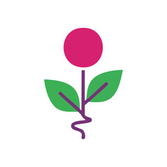 (Modern Minimal Botanical Element. A clean graphic shows a lively fuchsia plant with emerald foliage and a graceful stem, representing natural beauty and new beginnings.)
