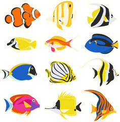 set of sea fish vector illustration