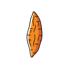 (Orange Sweet Potato Illustration. Vibrant root crop artwork conveying wholesome farm produce. Represents natural healthy food and dietary nourishment.)