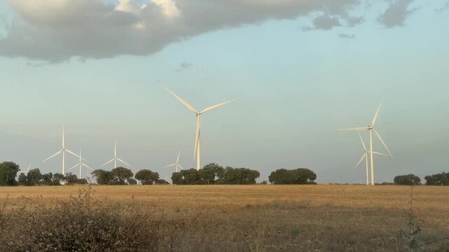 Wind turbines producing renewable energy at sunset